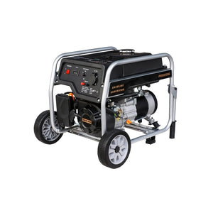 AVR Gasoline Generator